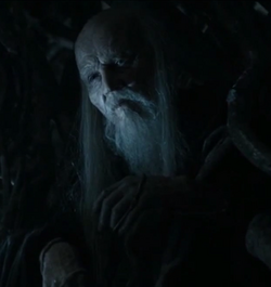 Three-Eyed Raven.png