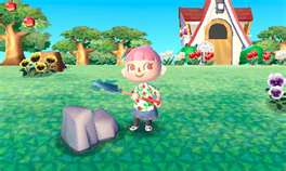Animal 3DS