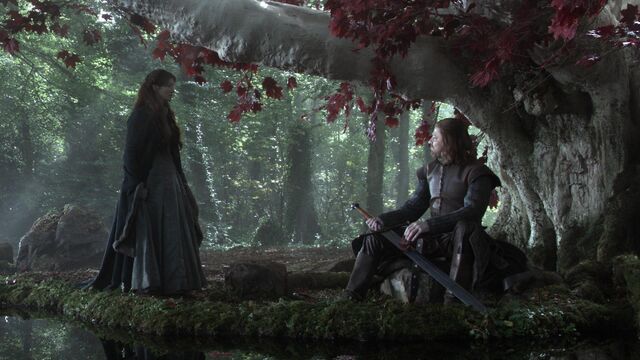 Datei:101 Catelyn Eddard Stark Götterhain.jpg