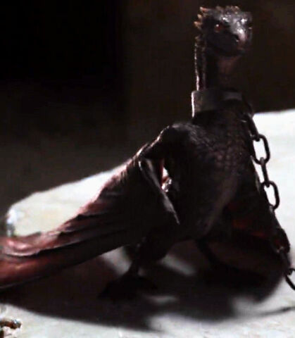 File:Dragon Young Drogon.jpg