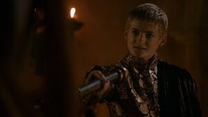 204DerGartenderKnochenJoffrey(1).jpg