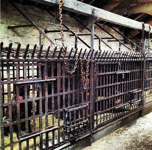 File:Dreadfort-kennels.jpg
