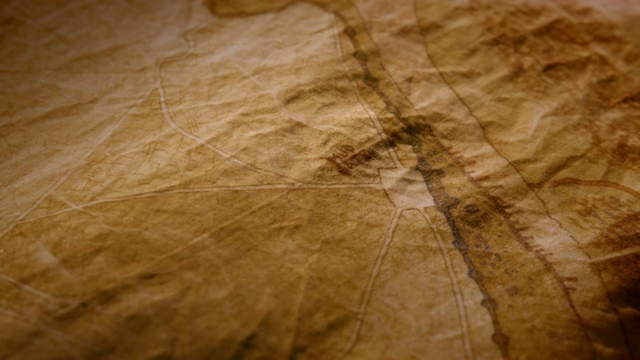 File:Mud Gate.png