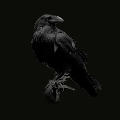 File:Night's-Watch-sigil.jpg