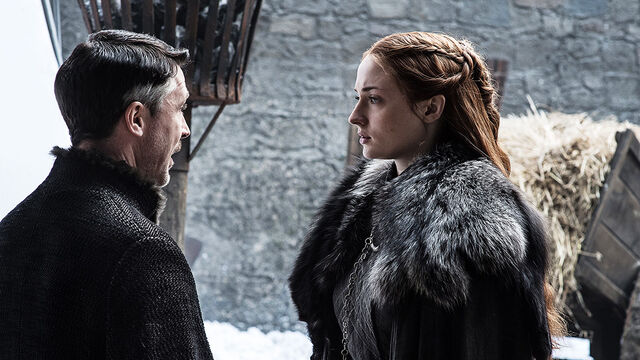 File:703 Petyr Sansa.jpg