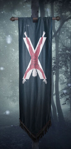 File:Bolton banner.jpg