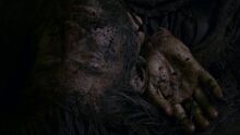Jaime beaten.jpg