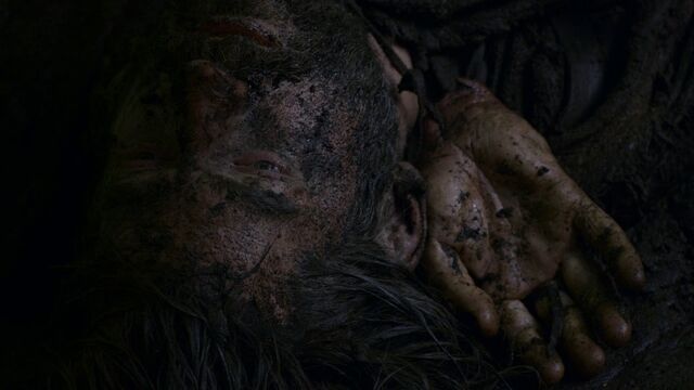 File:Jaime beaten.jpg
