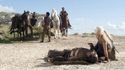 Drogo's fall.jpg