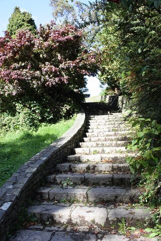 Datei:NordirlandTollymoreForestPark (14).jpg