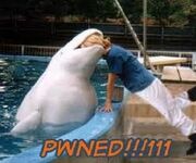 Pwn3d