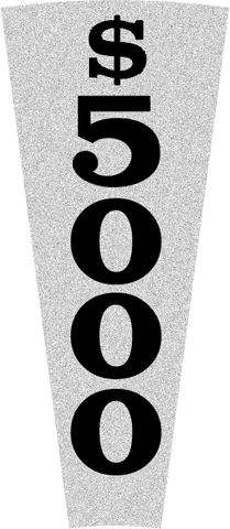 File:$5000 b.png