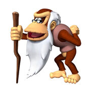 Cranky Kong New