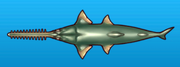 Sawfish