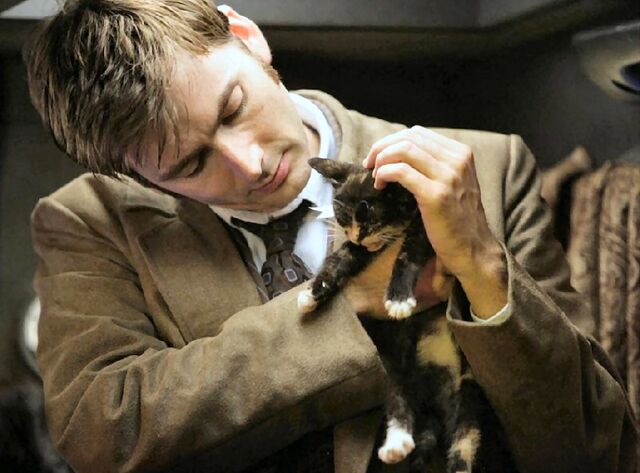 File:Cute-David-Tennant-david-tennant-32601514-800-591.jpg