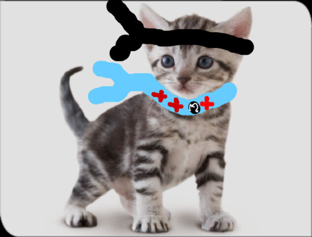 Archivo:Gatito ninja.jpg