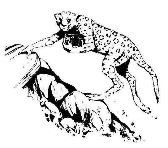 File:Jaget.jpg