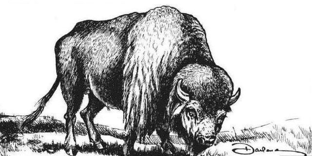 File:Bulo.jpg