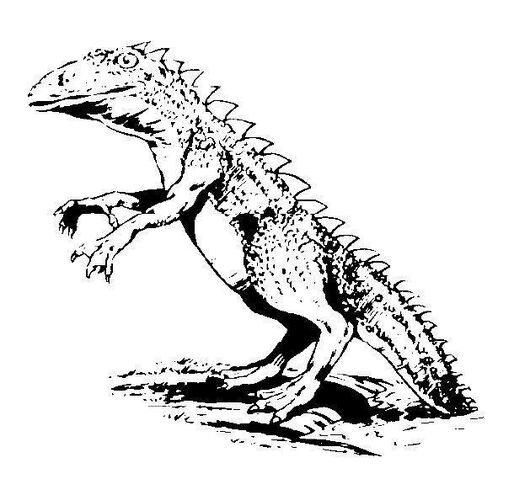 File:Keeshin.jpg