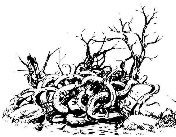 File:Winislean.jpg