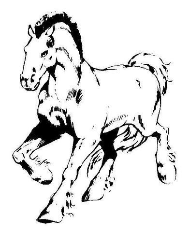 File:Brutorz.jpg
