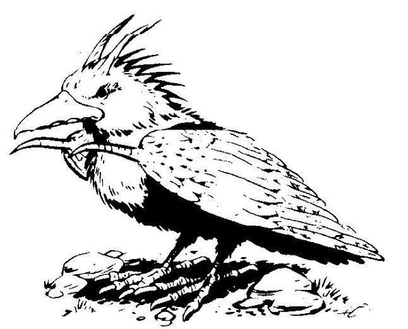 File:BloodBird.jpg