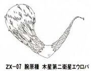 ZX 07 b