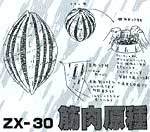ZX 30