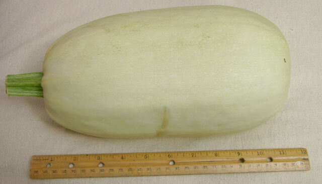 File:Spaghetti Squash 2.jpg