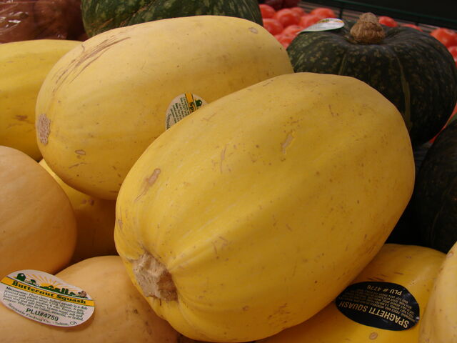File:Spaghetti Squash.jpg