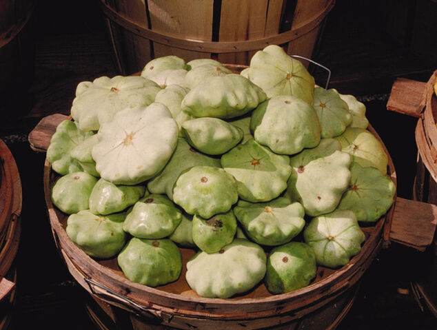 File:Squash Pattypan.jpg