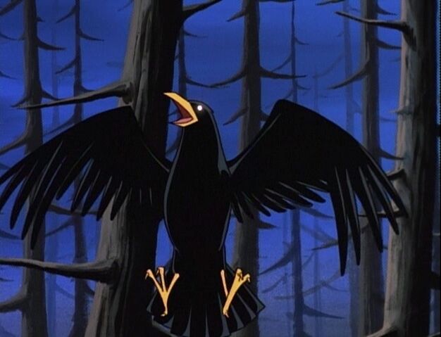 File:Bird Raven.jpg