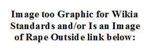 Don't meet Wikia Standard