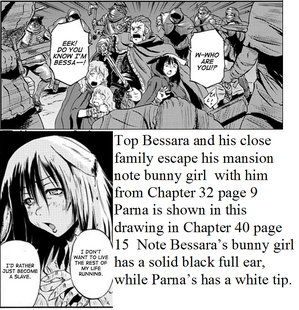 Parna or Bessara bunny girl