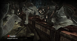 Bloodmounts feeding