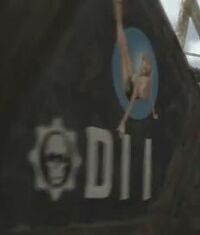 D11pinup