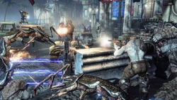 Image 3.png