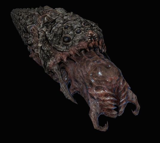 File:Rock Worm.jpg