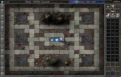 Field D6 Map