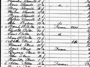 1850 census Stead Illinois