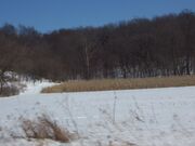 VernonCountyWisconsinCrops