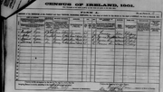 1901 census Carr Ireland