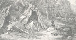Indig1