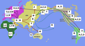 Migration map4