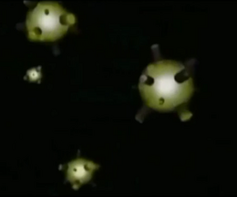 Rex5.png