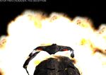 Crusader Battle