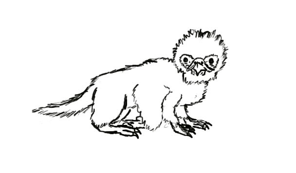 File:Orni.jpg
