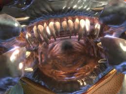 File:Sangheili mouth.jpg