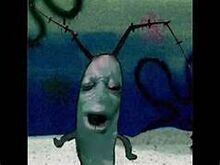 Plankton got served