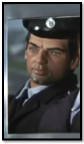 Police car driver